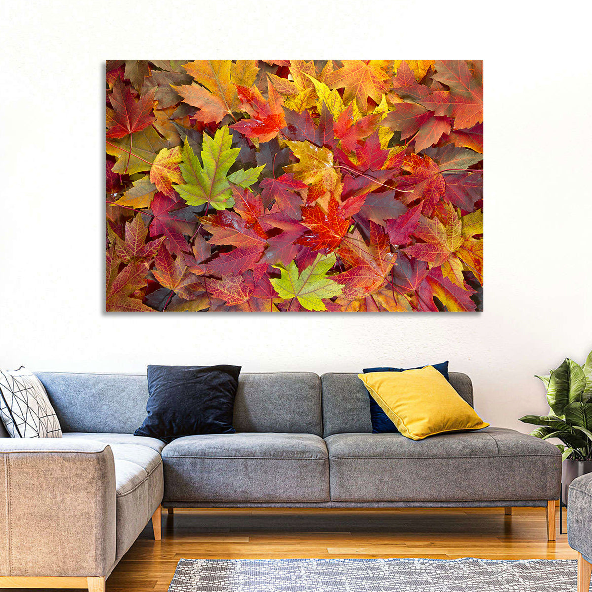 Autumn Maple Leaves Close-up Wall Art
