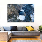 Toplitz Lake Winter Aerial Wall Art