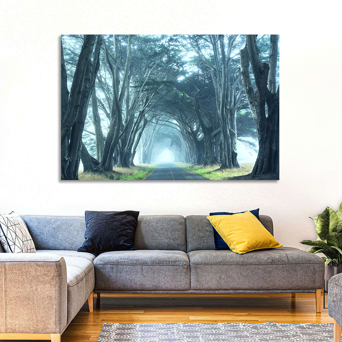 Foggy Cypress Tree Tunnel Wall Art in a room, landscape