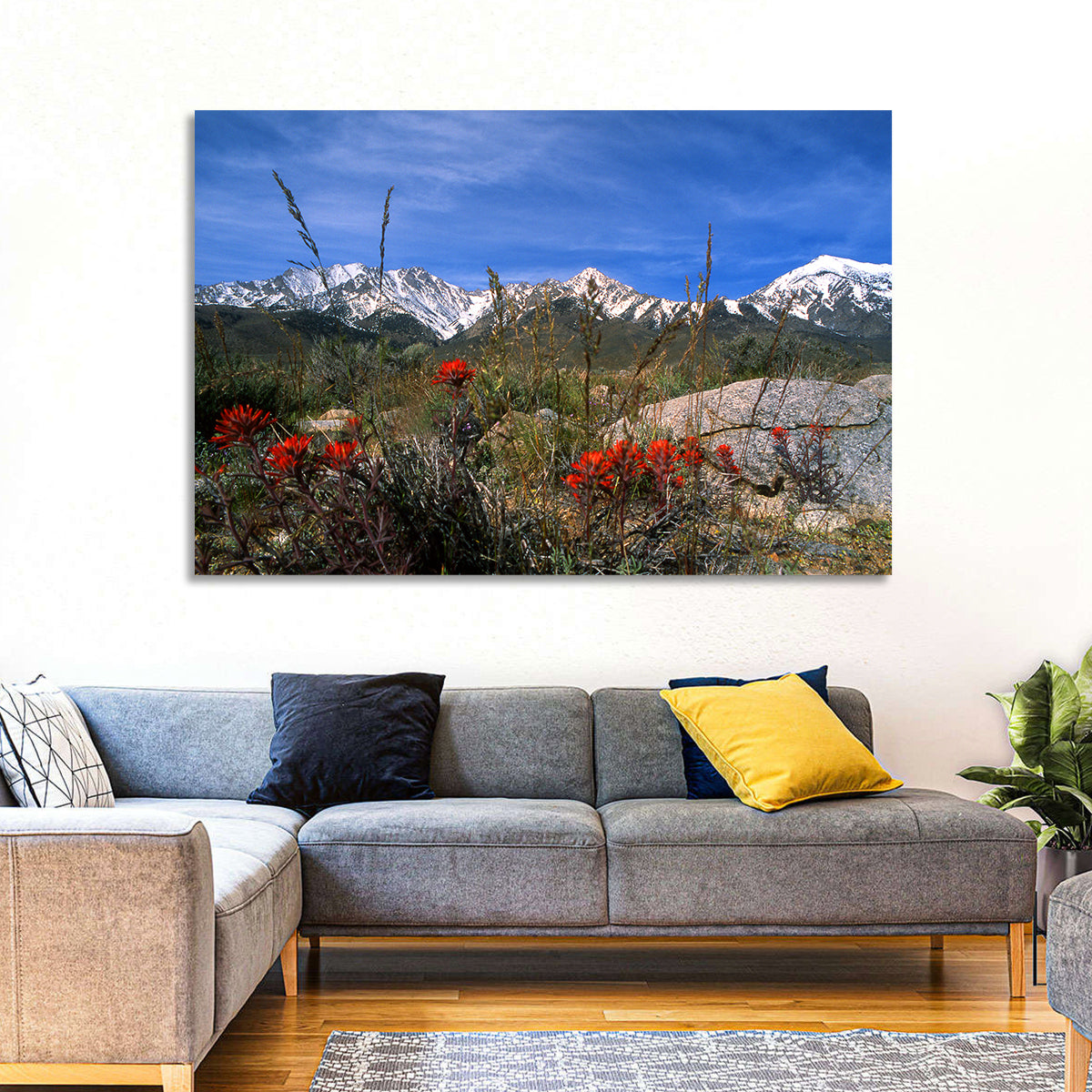Sierra Nevada Wildflower Vista Wall Art in a room, landscape