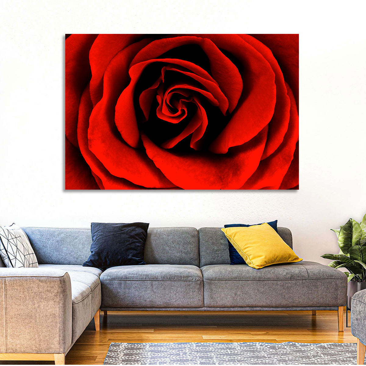 Velvety Red Rose Close-up Wall Art in a room, landscape