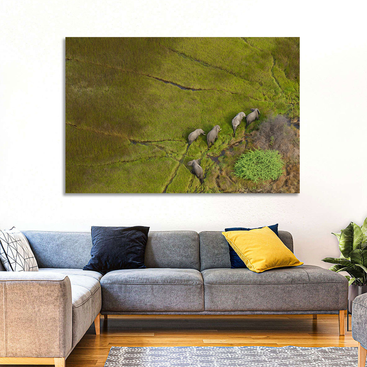 Aerial Herd of Elephants Wall Art in a room, landscape