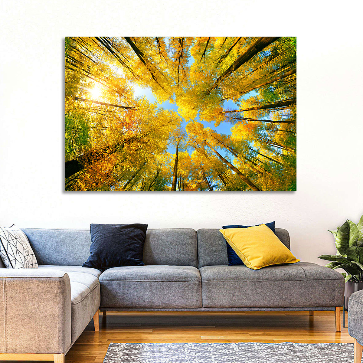Golden Autumn Canopy Wall Art
