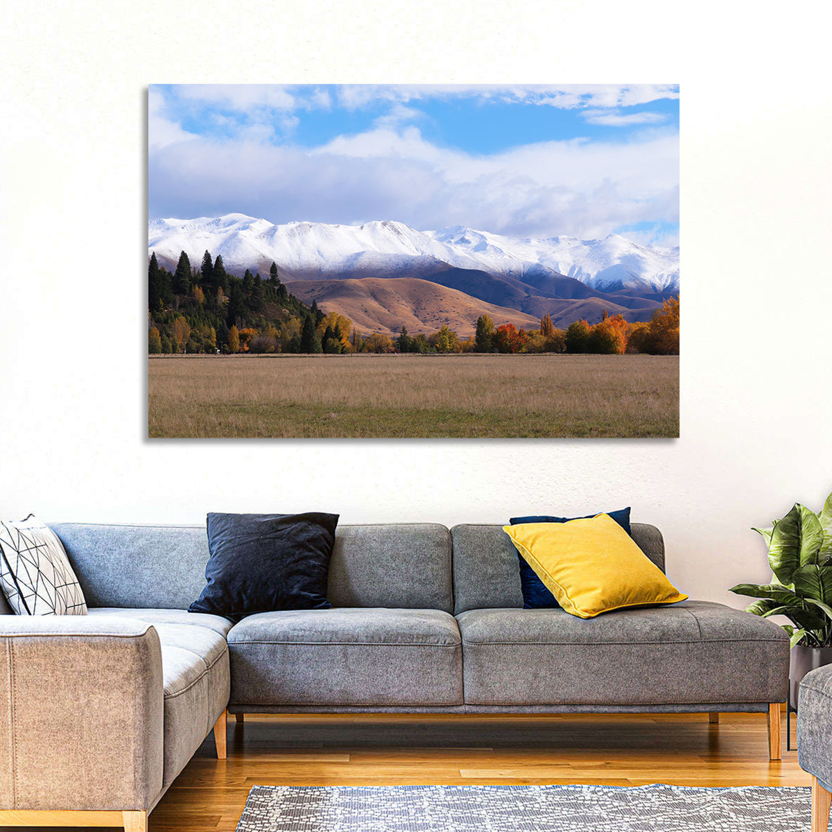 Ben Ohau Mountain Meadow Wall Art in a room, landscape