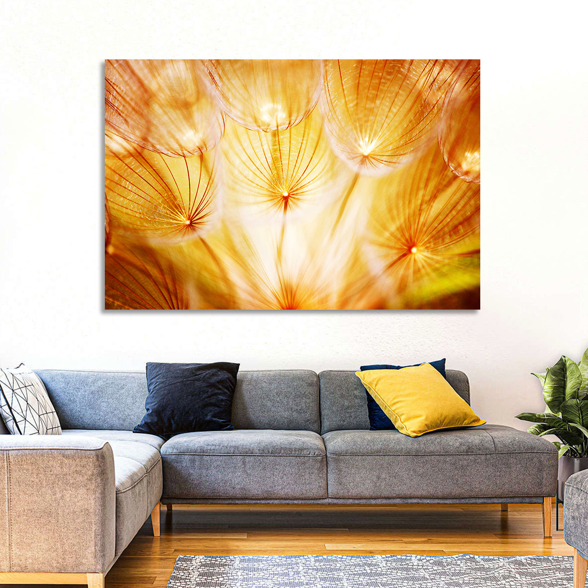 Golden Hour Dandelion Seed Macro Abstract Wall Art in a room, landscape