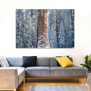 Giant Sequoia Tree Wall Art