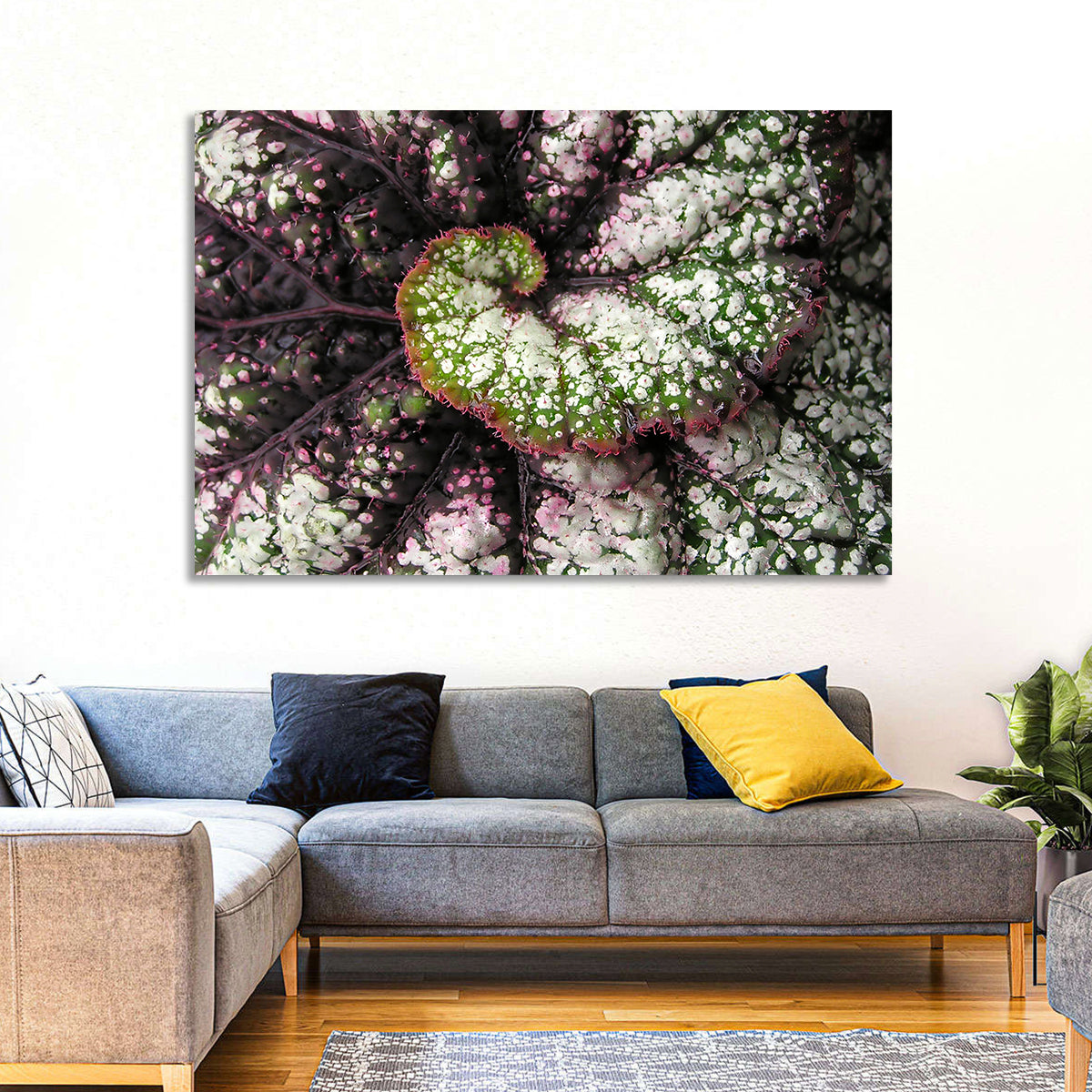 Begonia Leaf Spiral Geometry Wall Art in a room, landscape