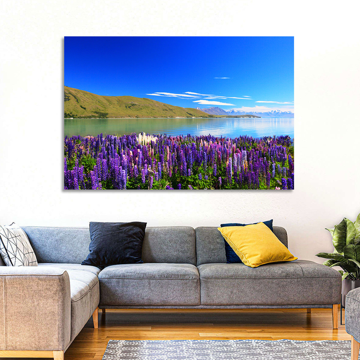 Lake Tekapo Lupine Fields Wall Art in a room, landscape