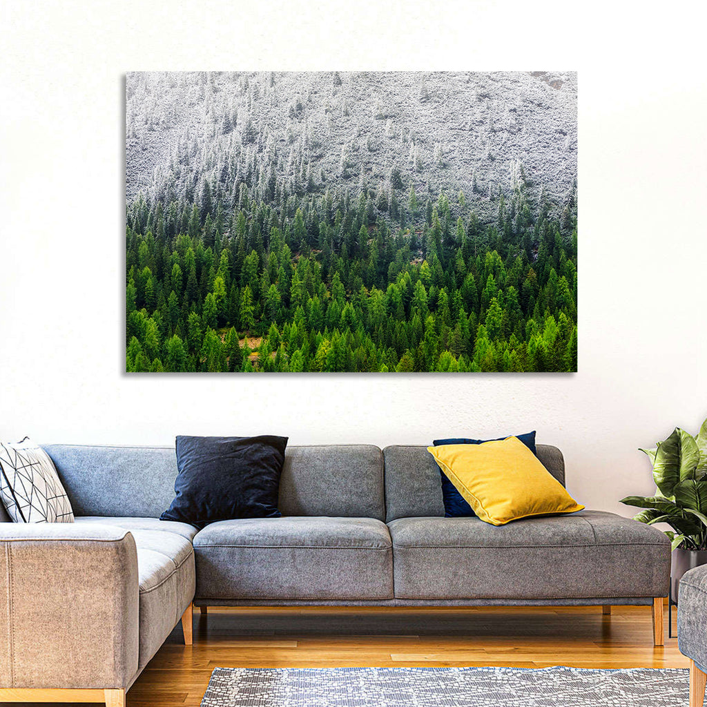 Snowy Dolomites Forest Wall Art