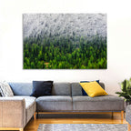 Snowy Dolomites Forest Wall Art
