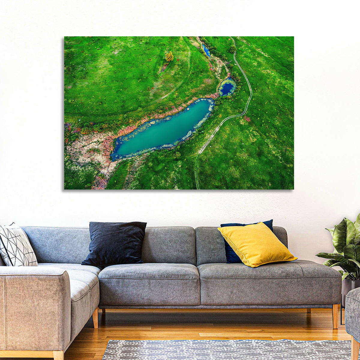 Meadows Lake Aerial Wall Art
