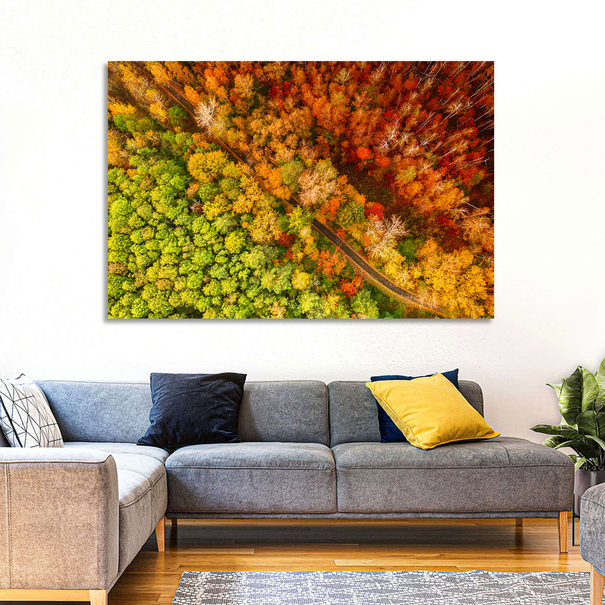 Winding Road Through Autumn Forest Wall Art in a room, landscape