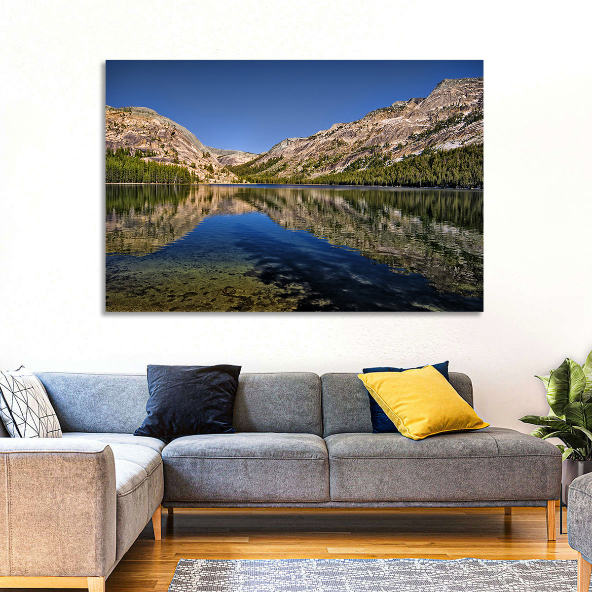 Tenaya Lake Reflection Wall Art in a room, landscape