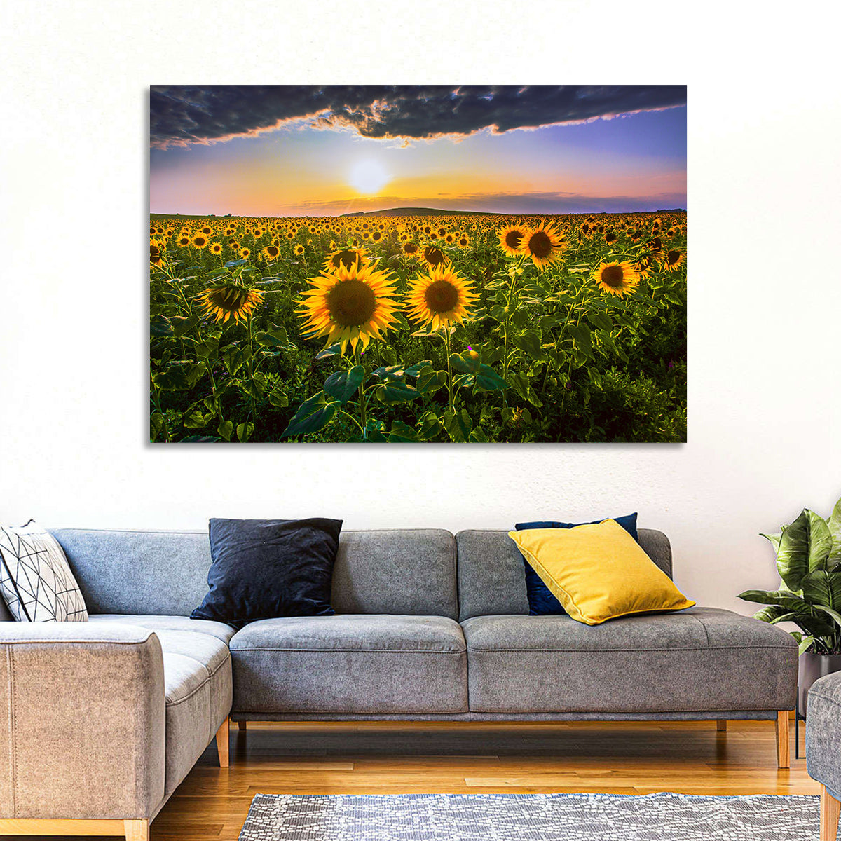 Sunflower Field at Golden Hour Wall Art in a room, landscape