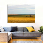 Lone Barn, Montana Farmland Wall Art
