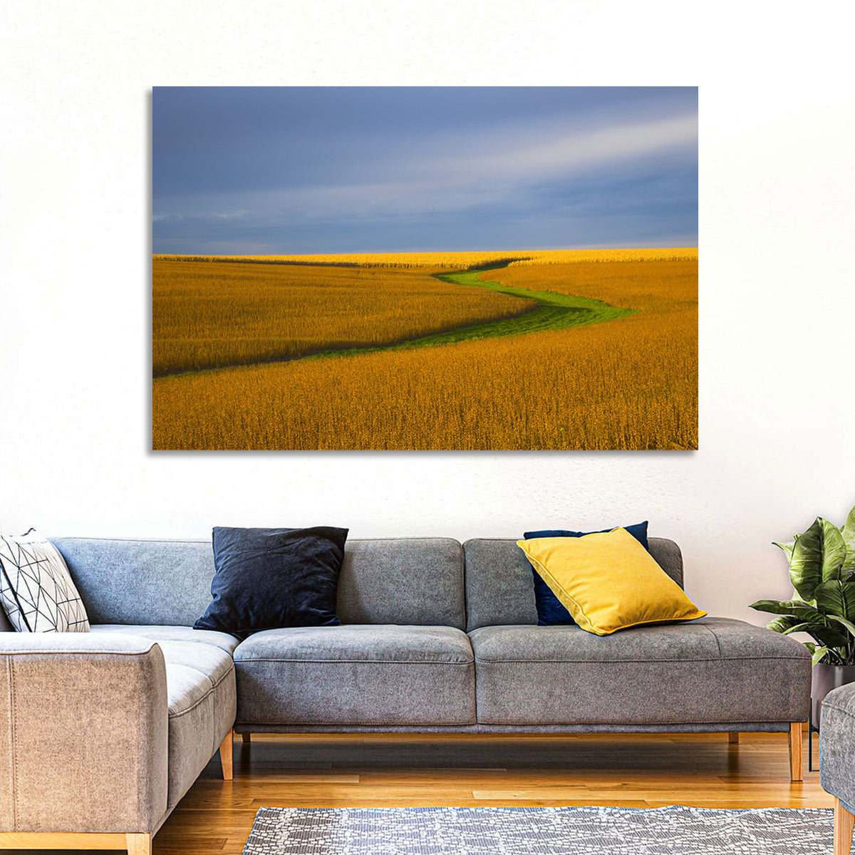 Golden Hour Soybean Field Wall Art in a room, landscape