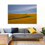 Golden Hour Soybean Field Wall Art
