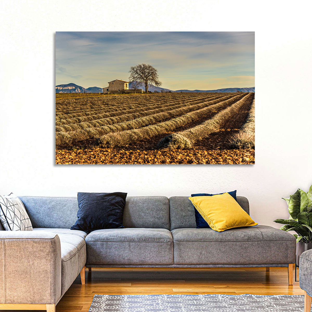 Rustic Provence Lavender Rows at Golden Hour Wall Art in a room, landscape