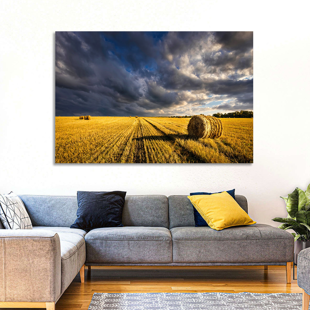 Hay Bale at Golden Hour Wall Art in a room, landscape