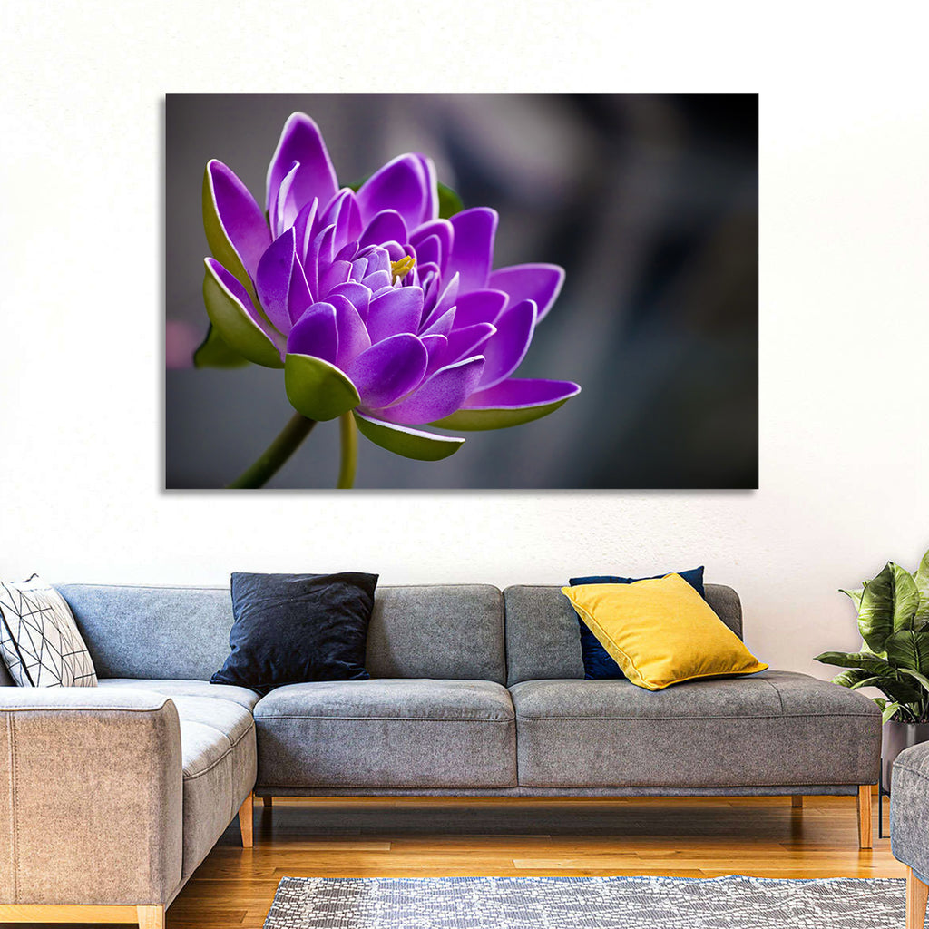 Purple Water Lily Close-up Wall Art