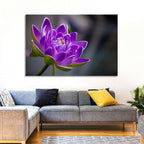 Purple Water Lily Close-up Wall Art