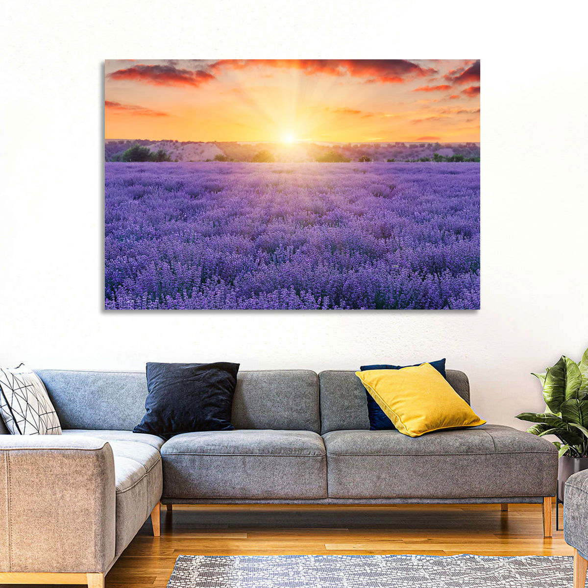 Lavender Field Sunburst Wall Art in a room, landscape