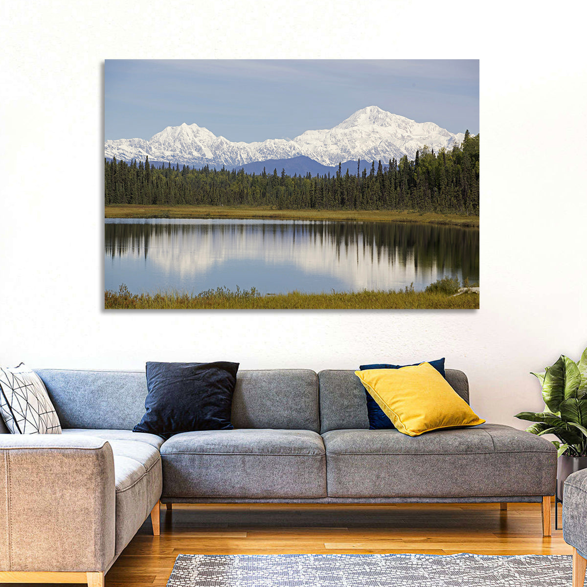 Denali Reflection Wall Art in a room, landscape