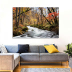 Sunlit Forest Stream Wall Art