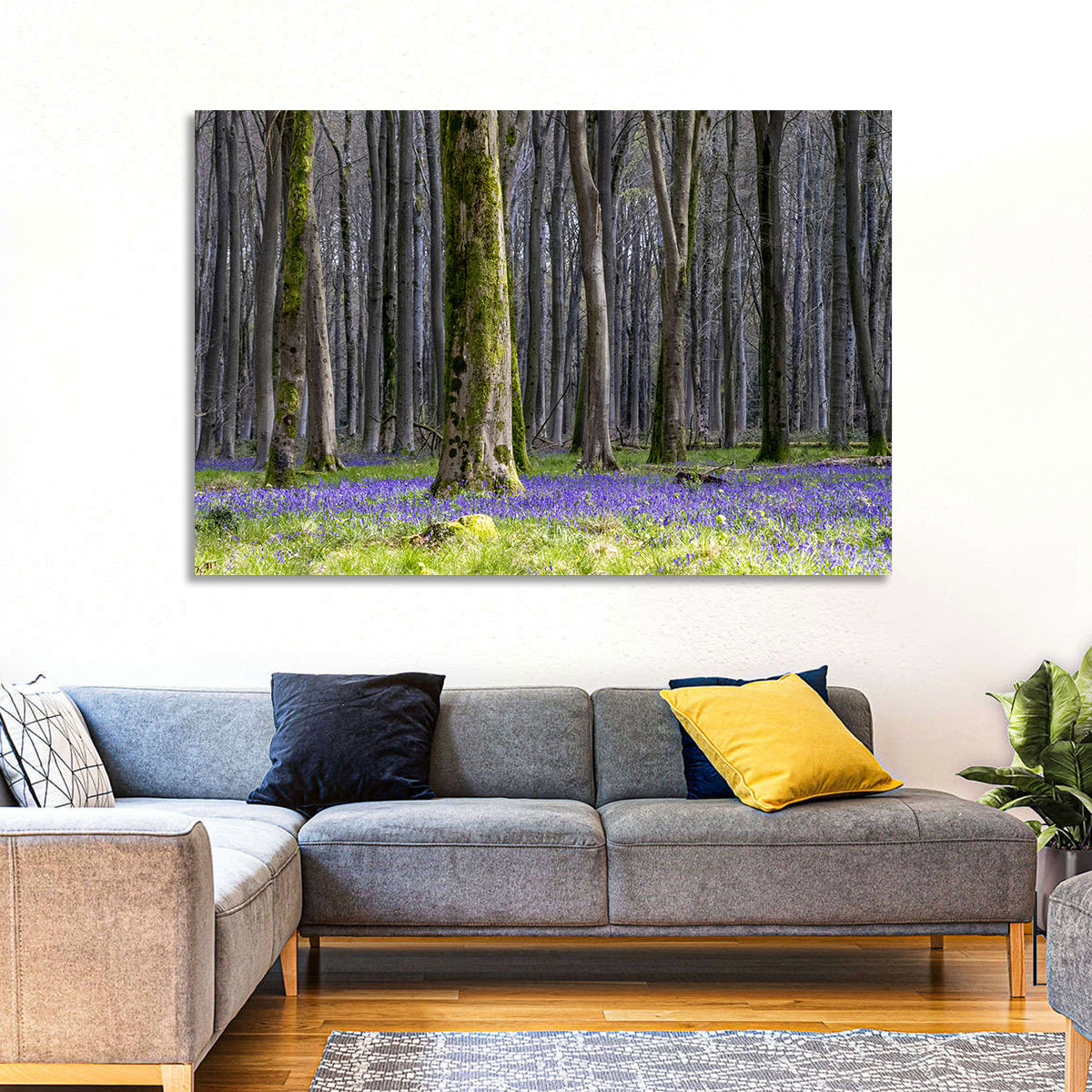 Bluebell Beechwood Grove Wall Art