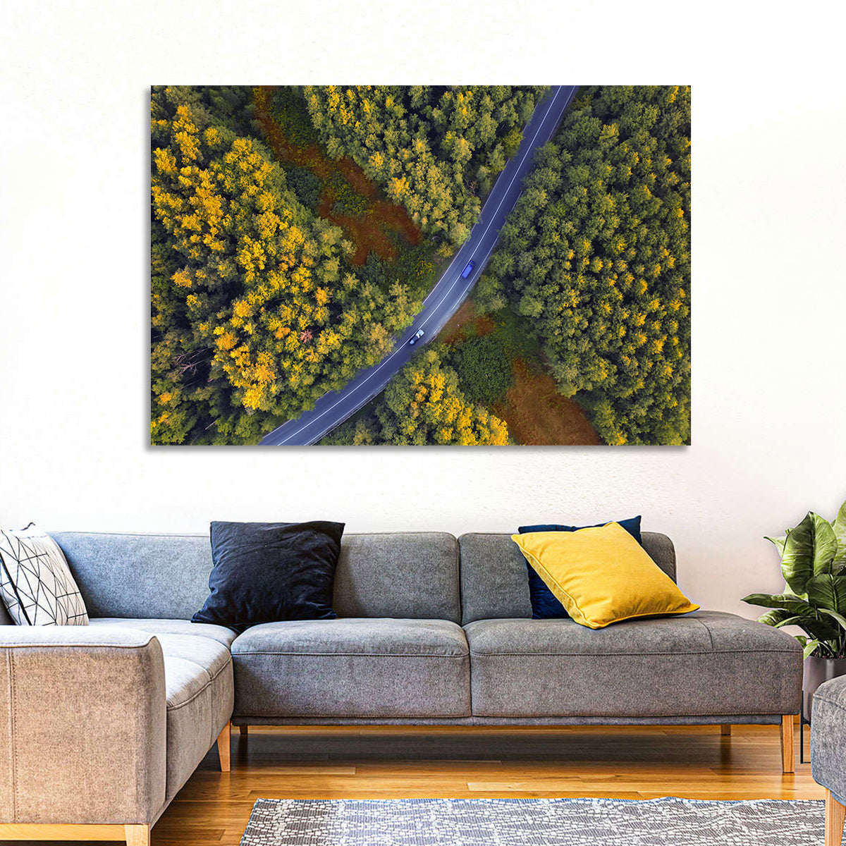Aerial Autumn Forest Road Wall Art in a room, landscape