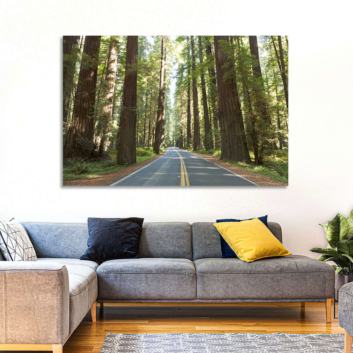Giants Avenue Redwood Forest Road Wall Art