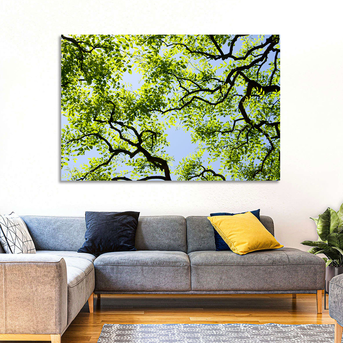 Sunlit Tree Canopy Wall Art in a room, landscape