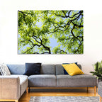 Sunlit Tree Canopy Wall Art