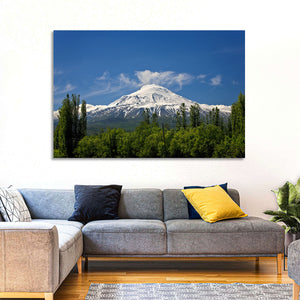 Mount Ararat Wall Art