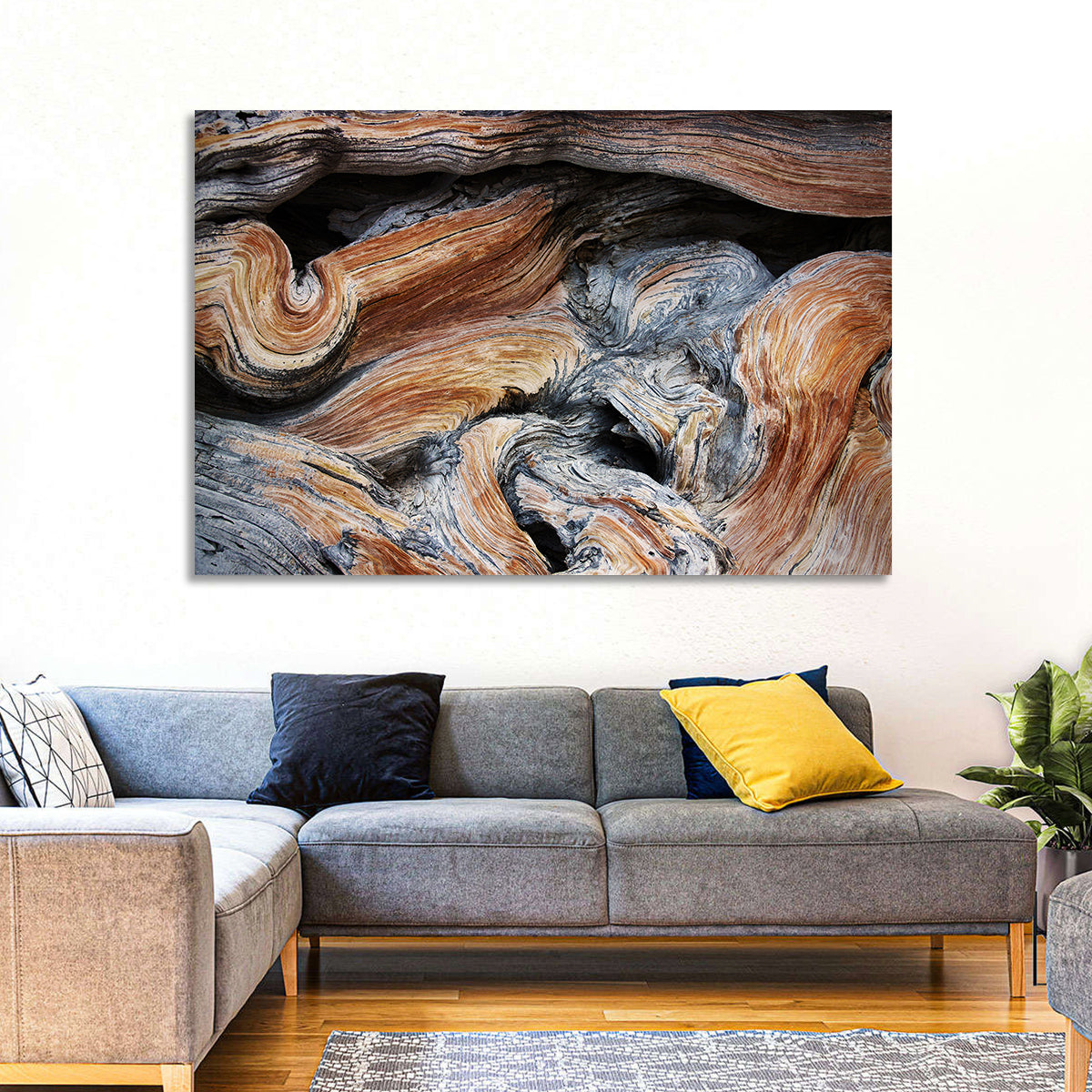 Juniper Wood Texture Wall Art in a room, landscape