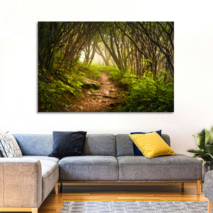 Craggy Gardens Hiking Trail Wall Art