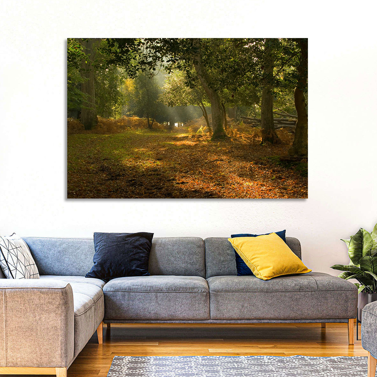 Autumn Forest Path, Hampshire Wall Art in a room, landscape