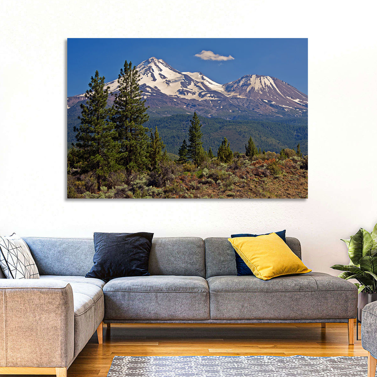 Mount Shasta Wall Art in a room, landscape