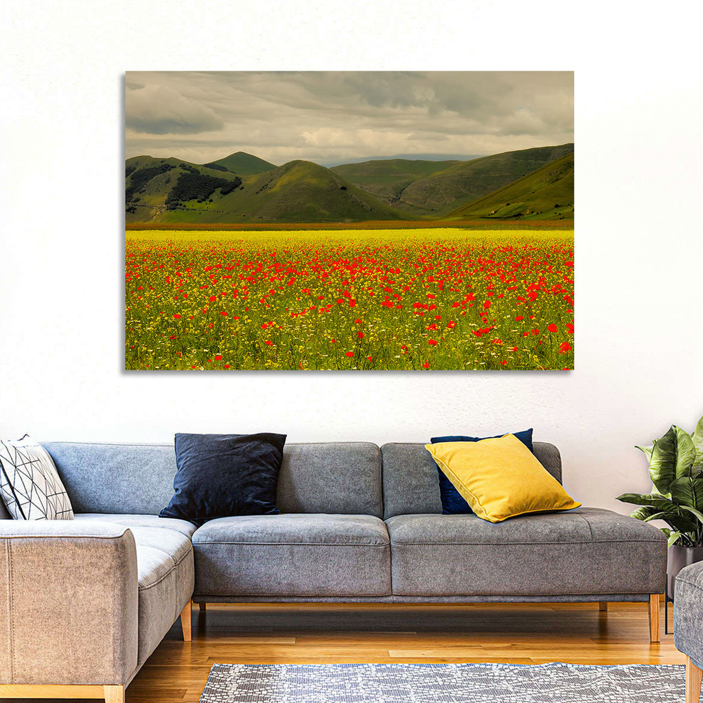 Castelluccio Wildflower Meadow Wall Art
