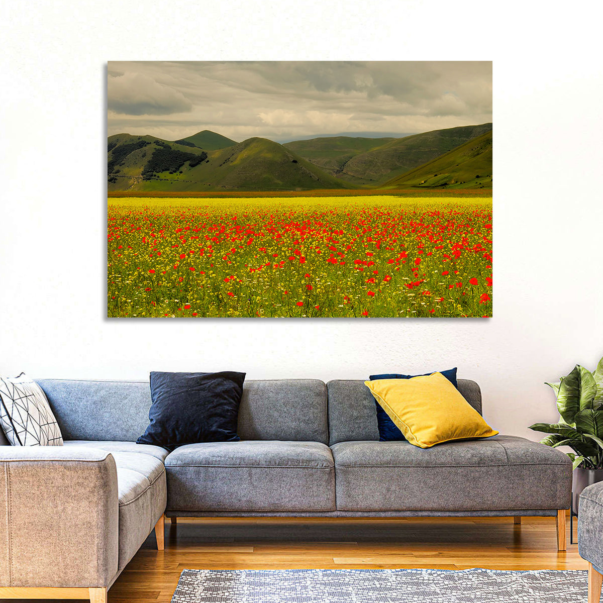 Castelluccio Wildflower Meadow Wall Art in a room, landscape