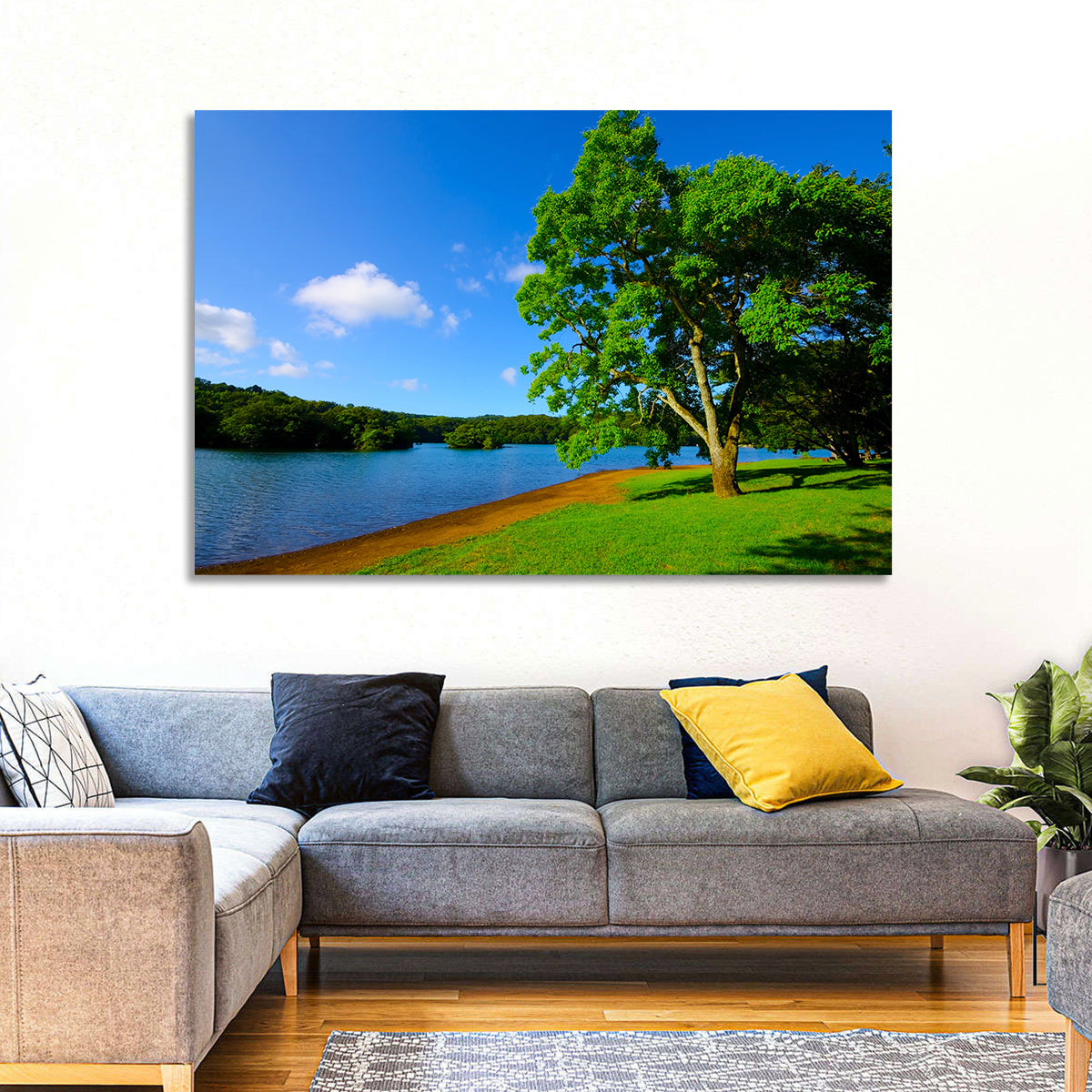 Lake Ippeki Solitary Tree Wall Art in a room, landscape