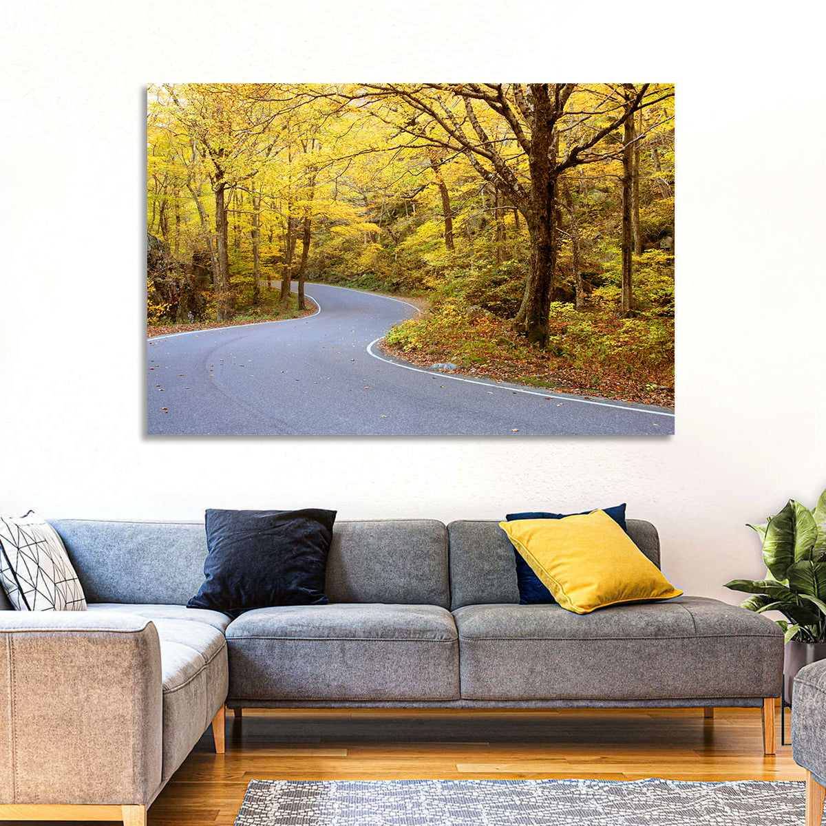 Winding Road Through Autumn Foliage Wall Art