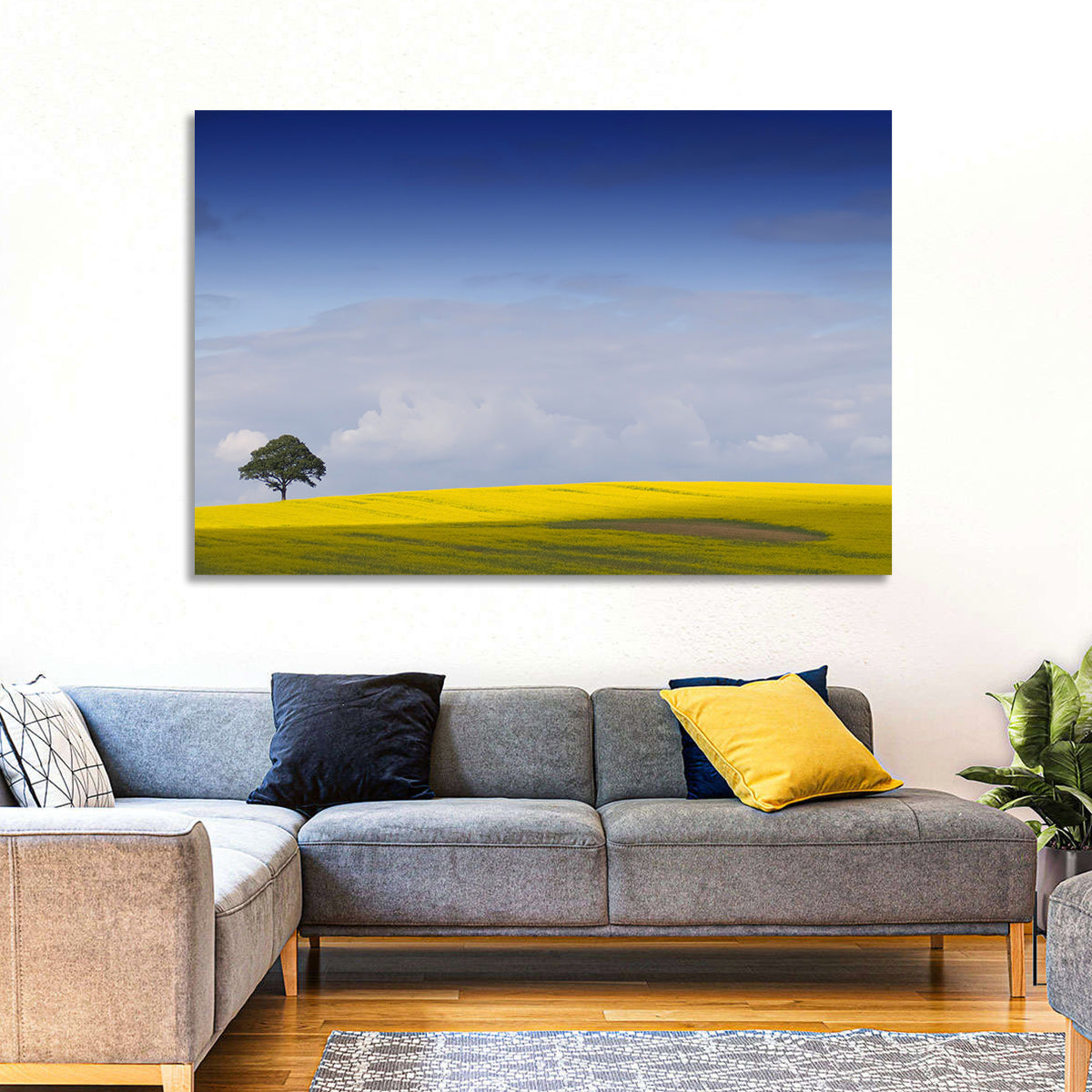 Solitary Tree Over Rapeseed Field Wall Art in a room, landscape