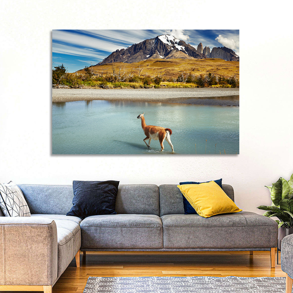 Torres Del Paine, Patagonia Wall Art