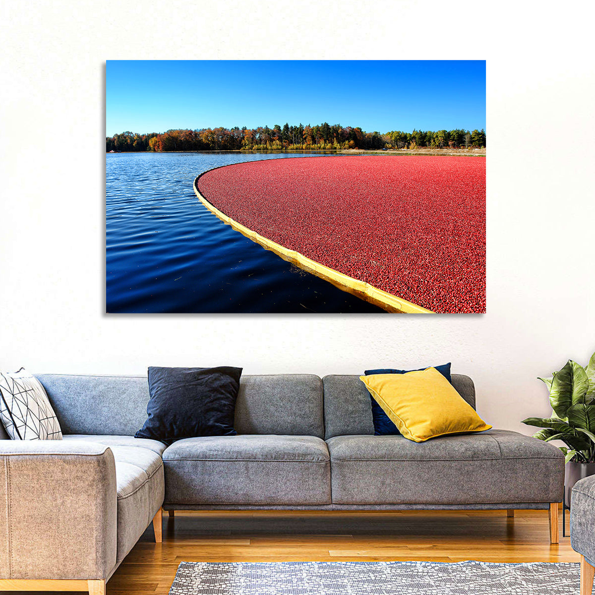 Flooded Cranberry Bog Wall Art