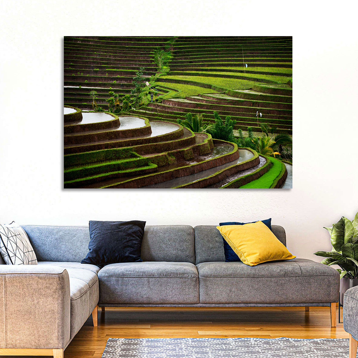 Lush Rice Terraces Wall Art