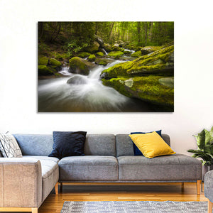 Gatlinburg Park Stream Wall Art