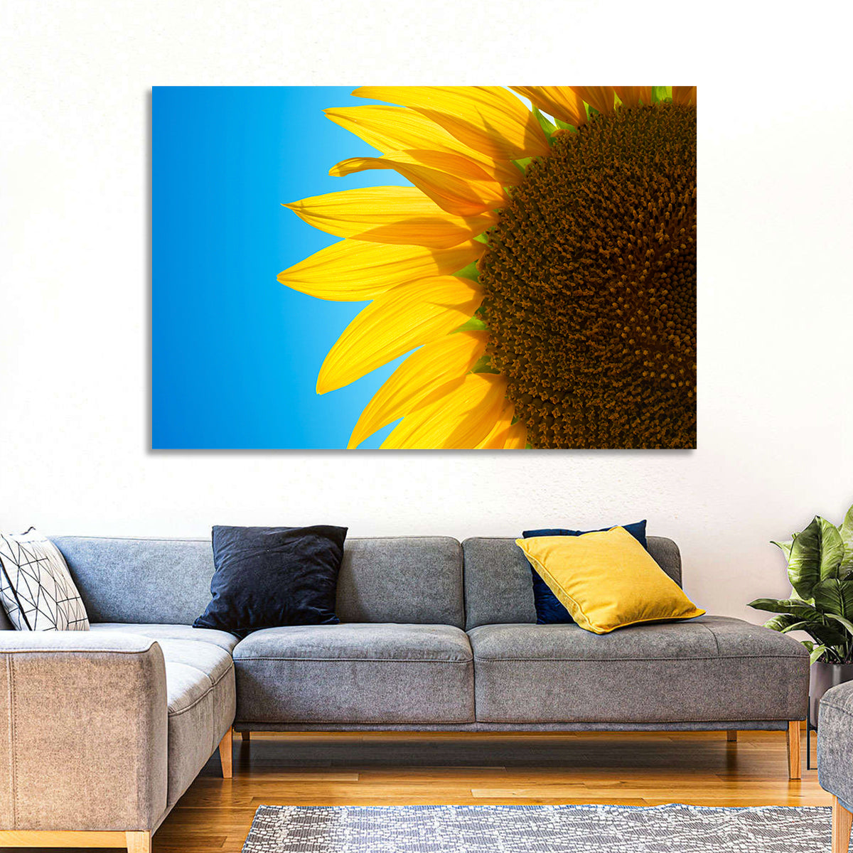 Sunflower Close-up Wall Art in a room, landscape