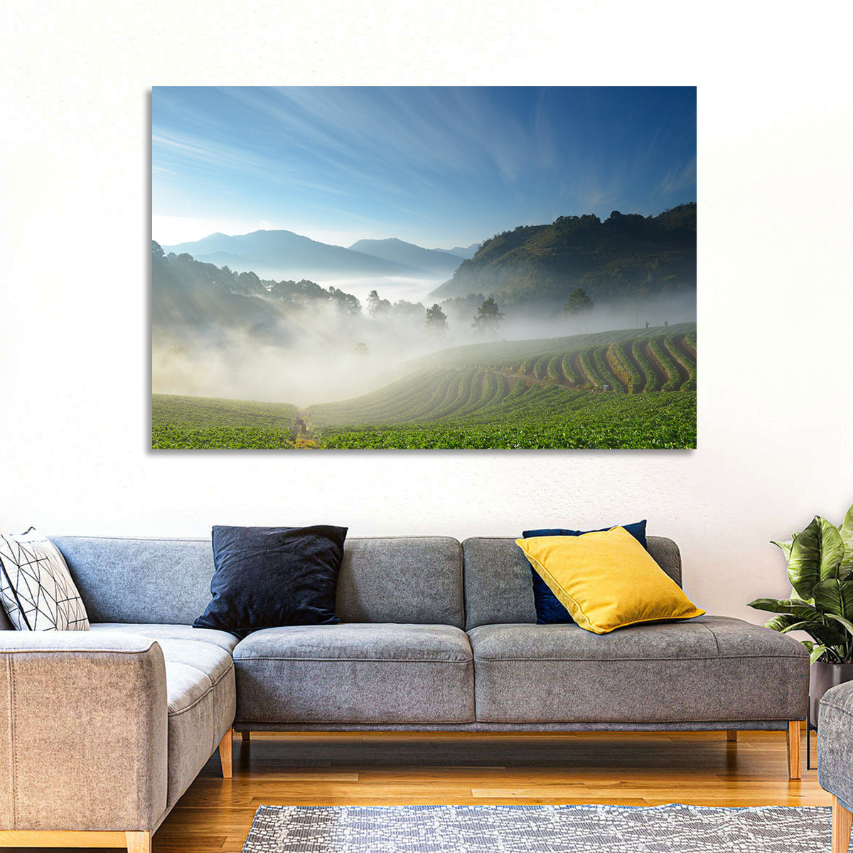 Sunlit Terraced Tea Hills Wall Art