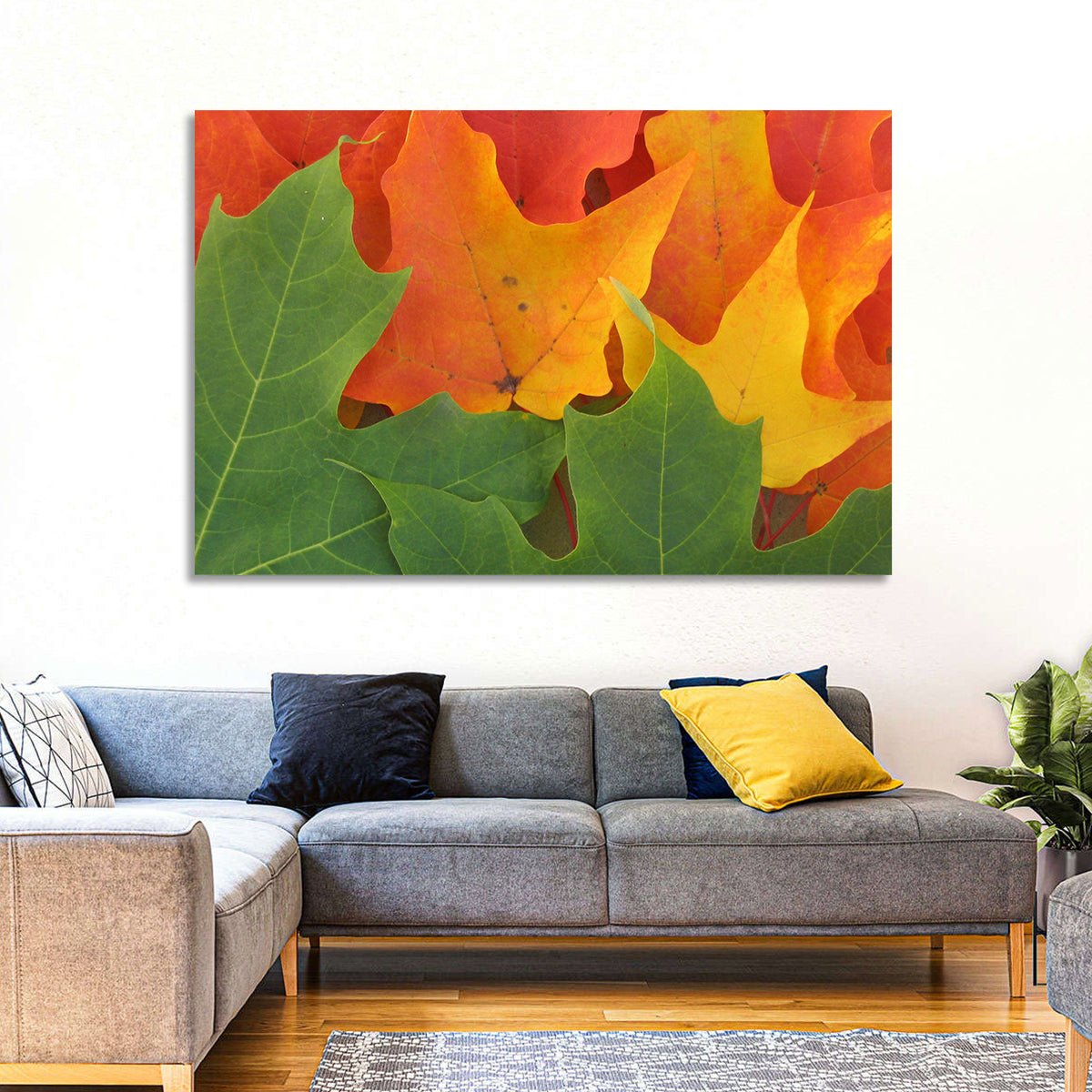 Autumn Maple Leaves Wall Art